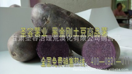 黑金剛土豆 荒漠化治理中的種植突破與品質保障