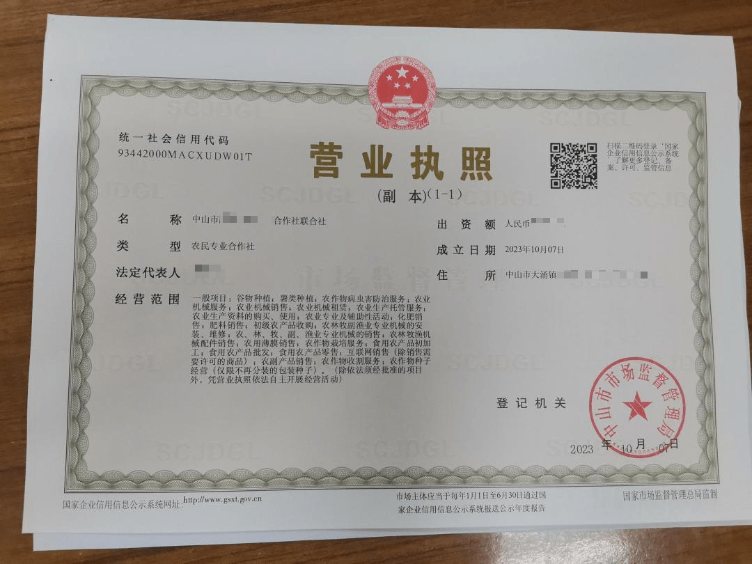 中山首批！大涌鎮發出農民專業合作社聯合社營業執照，薯類產業煥發新活力